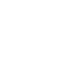 Professional photography service icon
